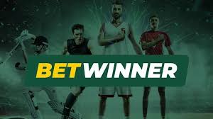 BetWinner The Ultimate Online Betting Platform